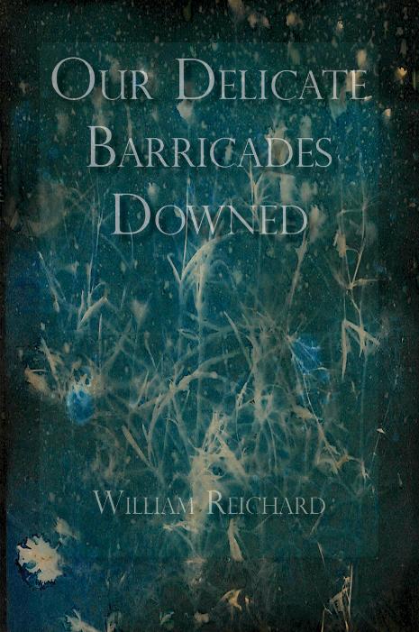 Our Delicate Barricades Downed by William Reichard 