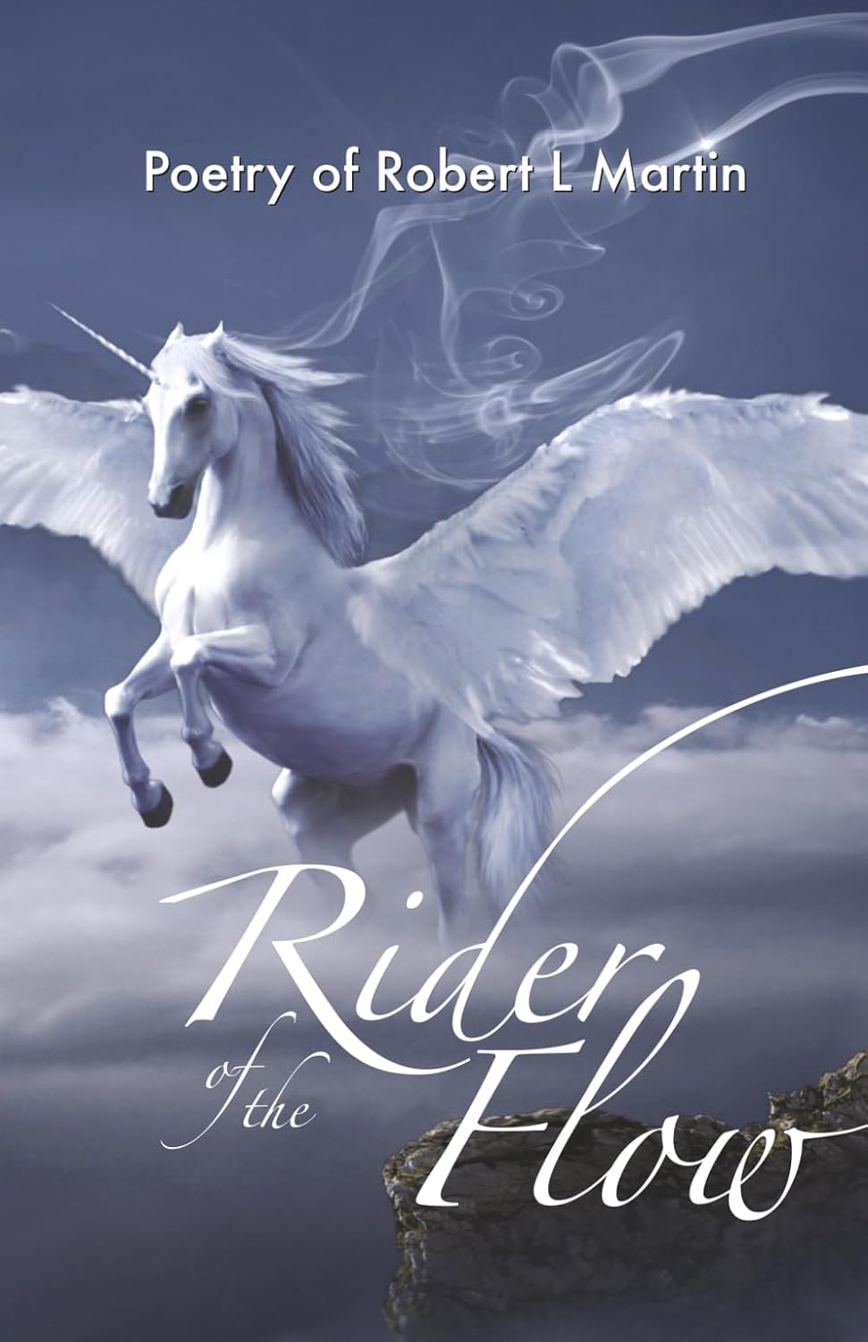 Rider of the Flow by Robert L. Martin (Author)  Format: Paperback
